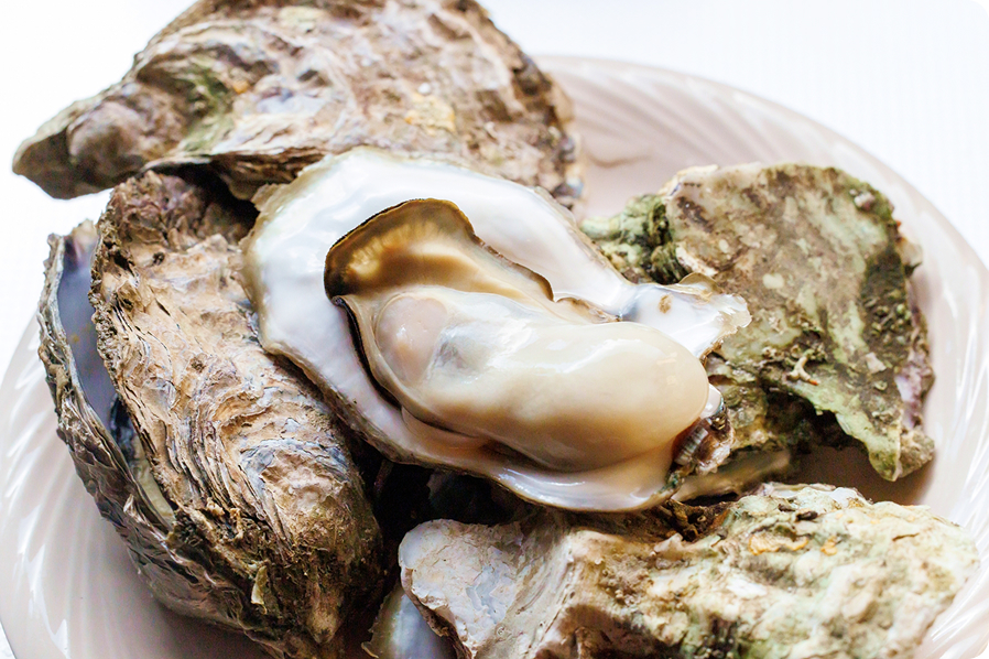 牡蠣