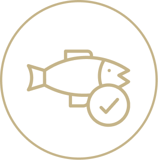 魚の鮮度のイラスト