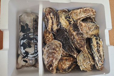 燻製牡蠣のオイル漬け